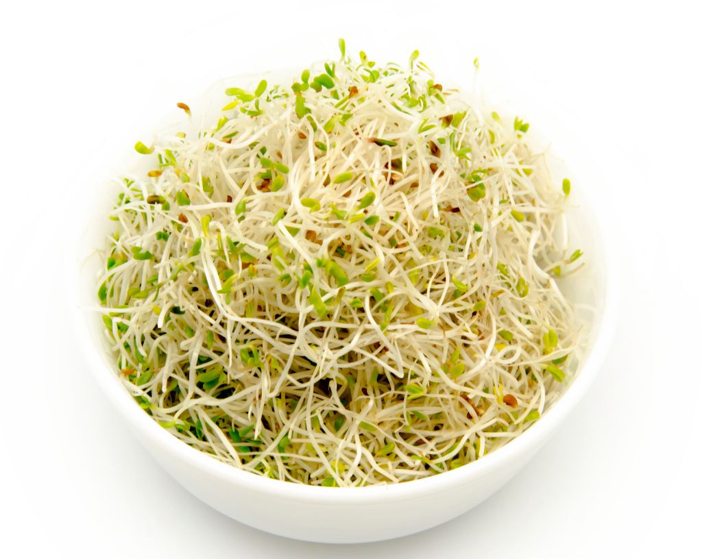 Remarkable Alfalfa Benefits Prepare to be Amazed