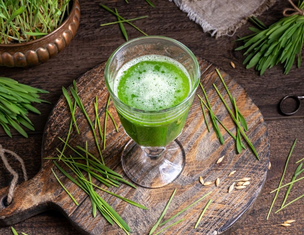 Barley Grass Benefits Things you should know