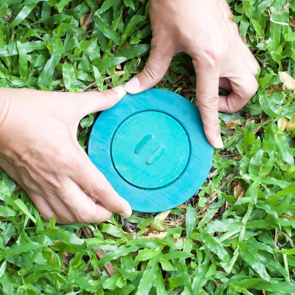 Green Termite Baiting System Termites Info