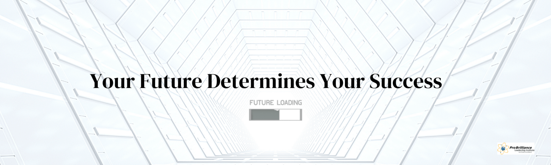 Your Future Determines Your Success ProBrilliance