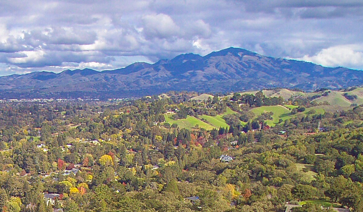 Diablo Valley Real Estate Trends Compass