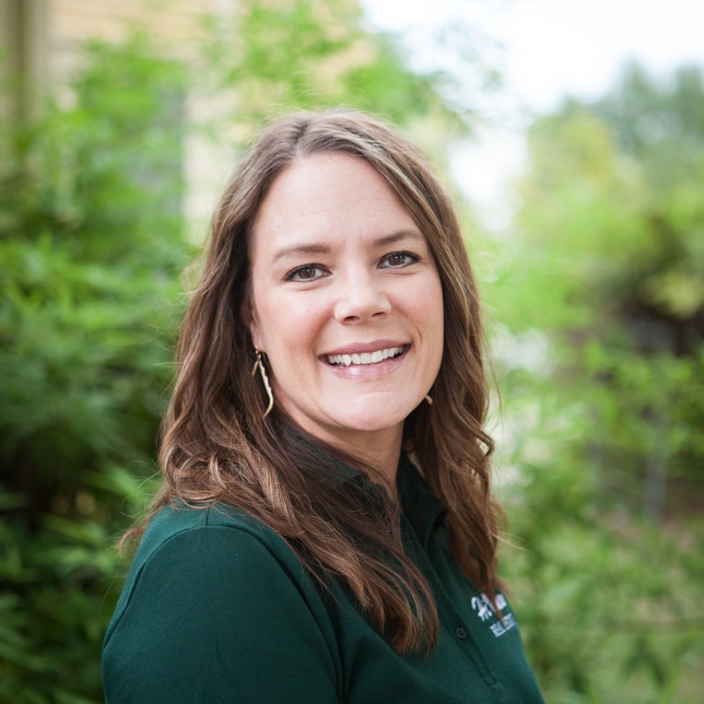 Team single entry Hi View Real Estate