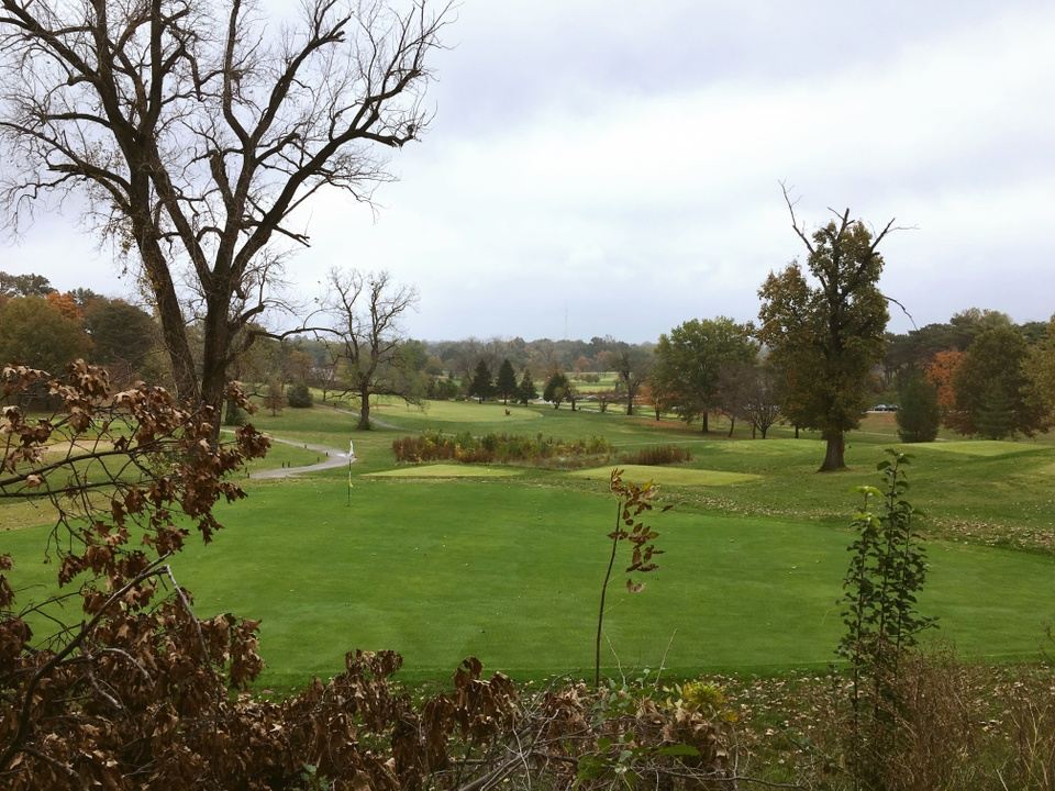 Explore Forest ParkSaint Louis Zoo, The Muny, Forest Park