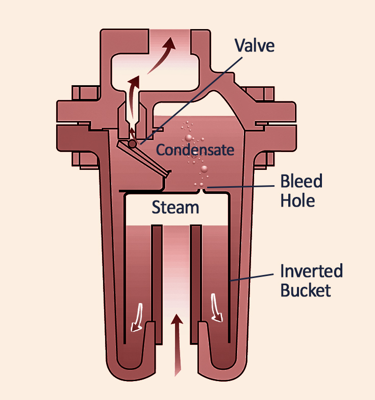 Steam Traps Process Phase