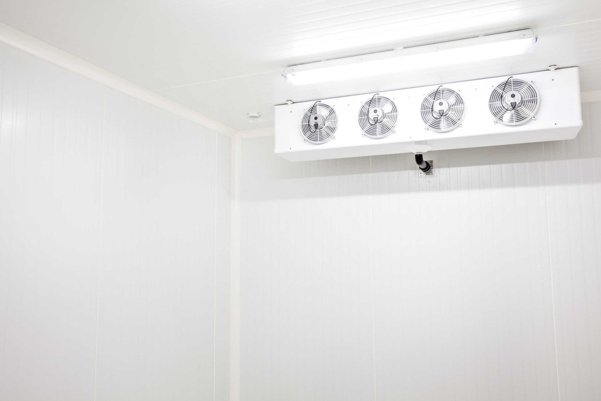 Condensation On Ceiling Of Refrigerator Shelly Lighting