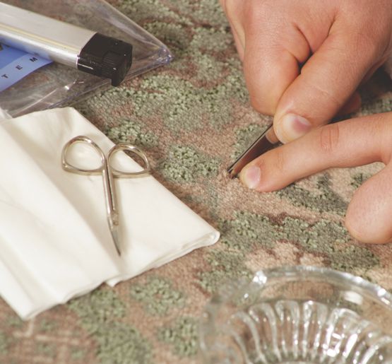 2 Day Carpet Cleaning Course Prochem Europe Ltd.