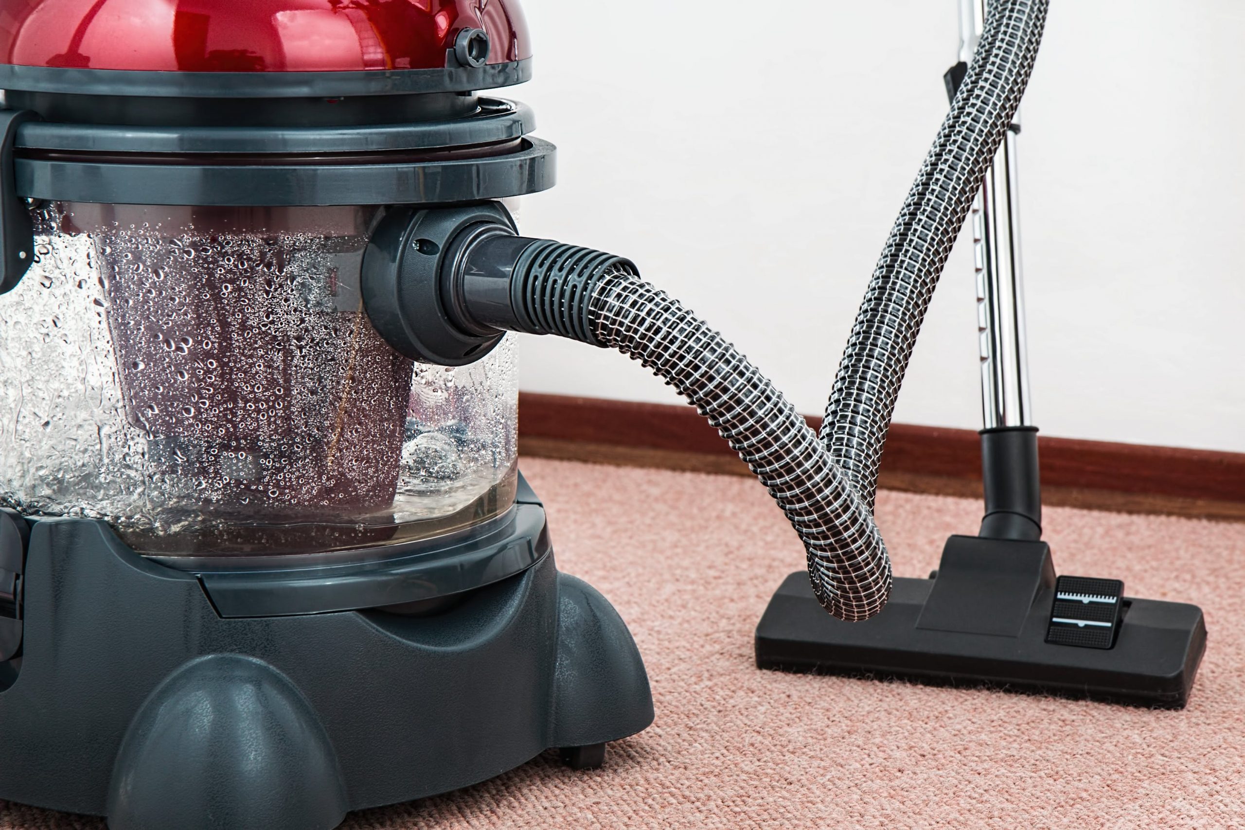How Long Does It Take For Carpet to Dry After Cleaning With Rug Doctor