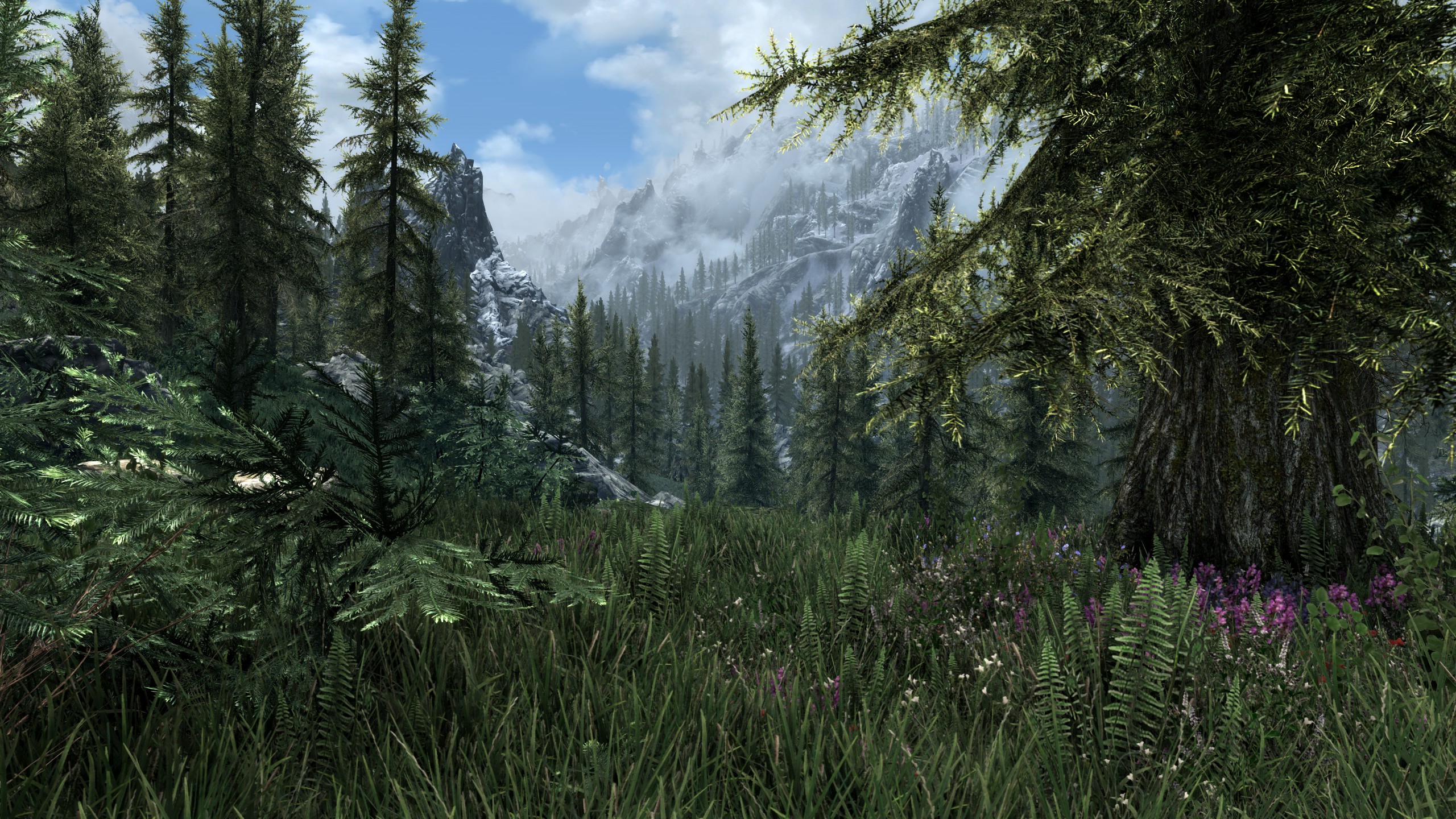 Skyrim Se Grass Mod proclip