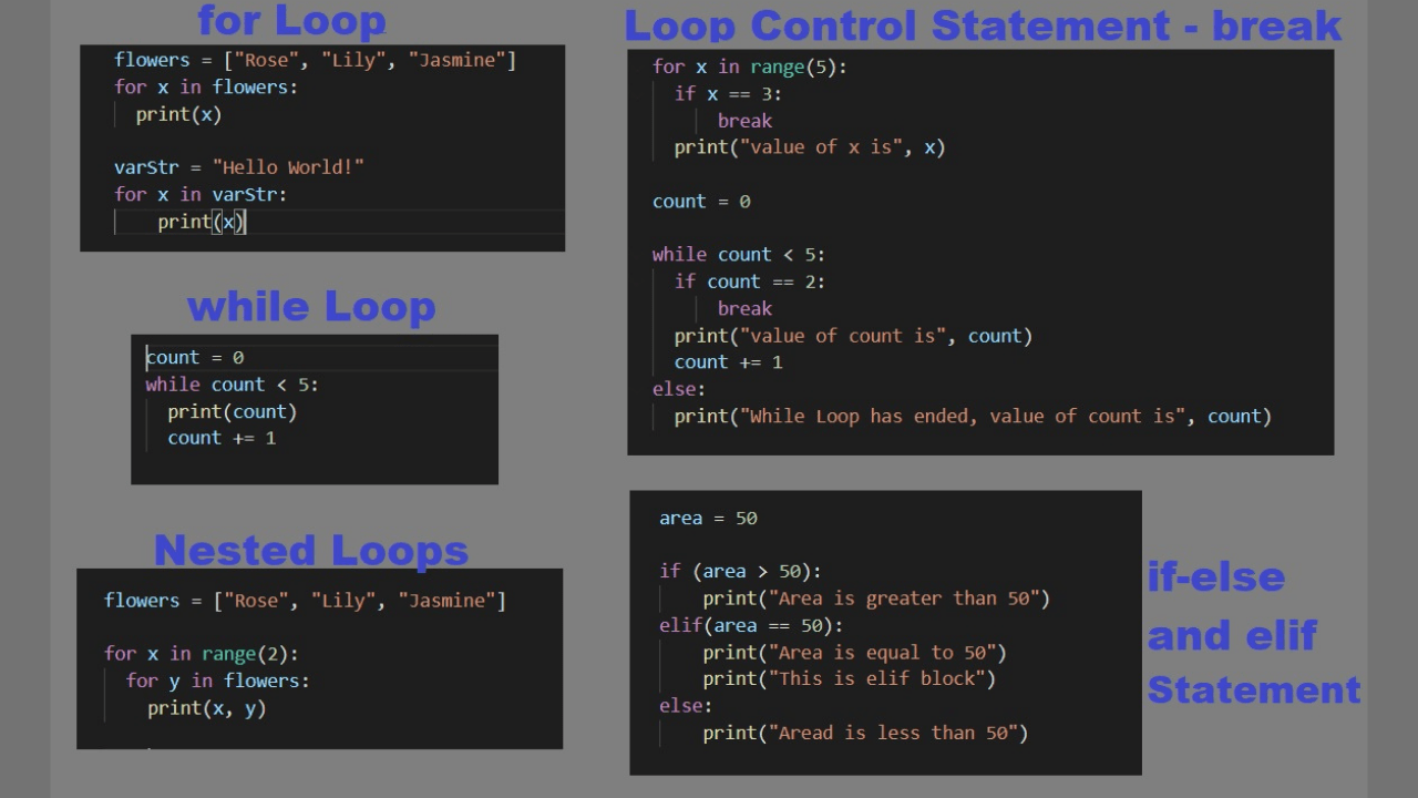 Loops and Conditionals in Python while Loop, for Loop & if Statement