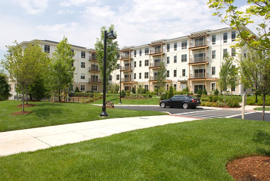 Repton Place PROCON, inc.