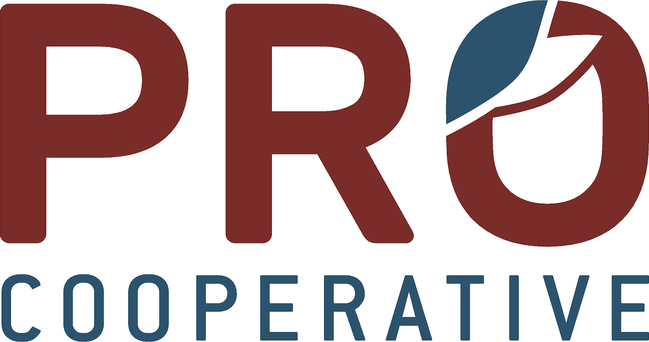 Cash Bids Pro Cooperative