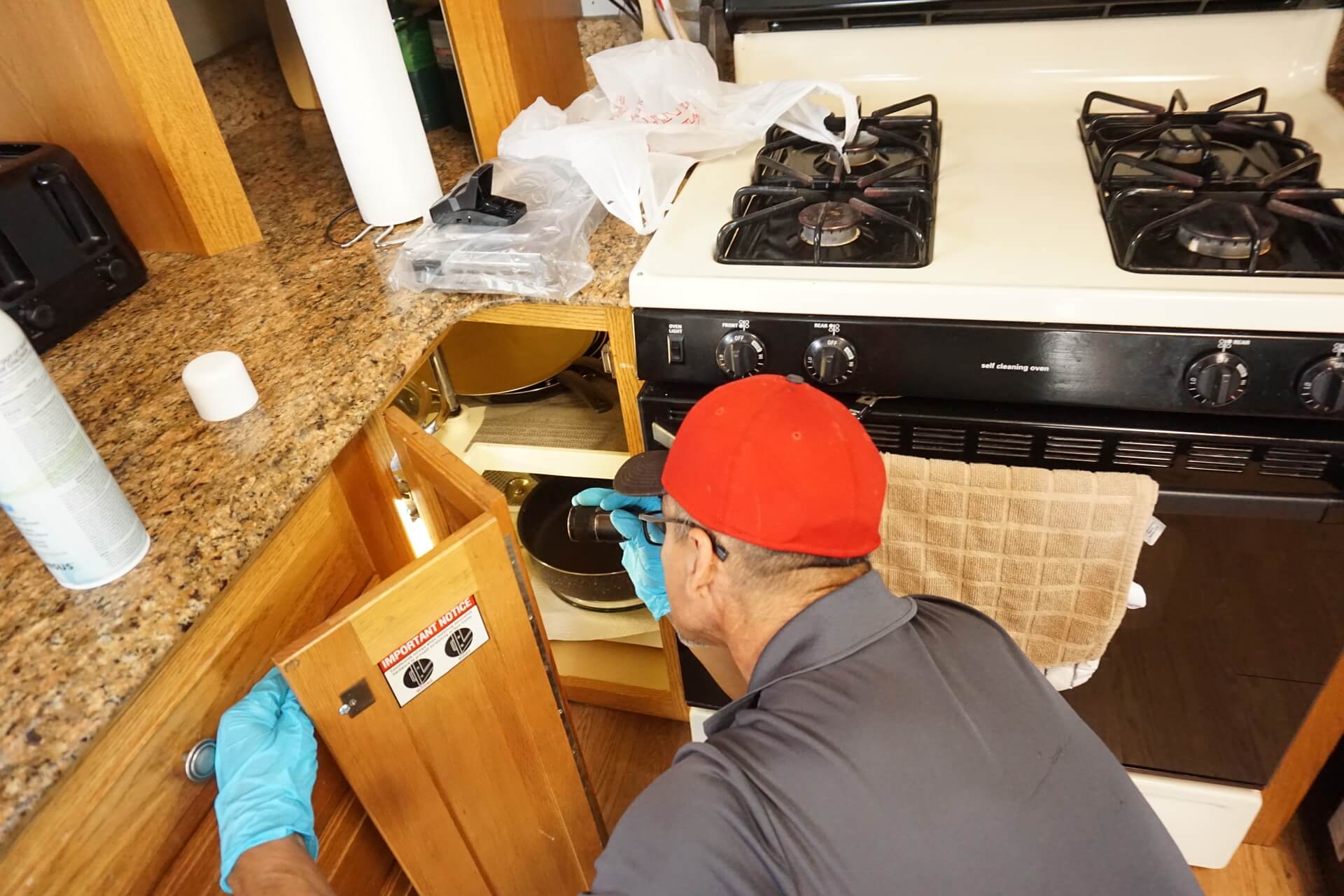 Procor's Guide to Rodent Control in Pennsylvania Expert Tips & Solutions