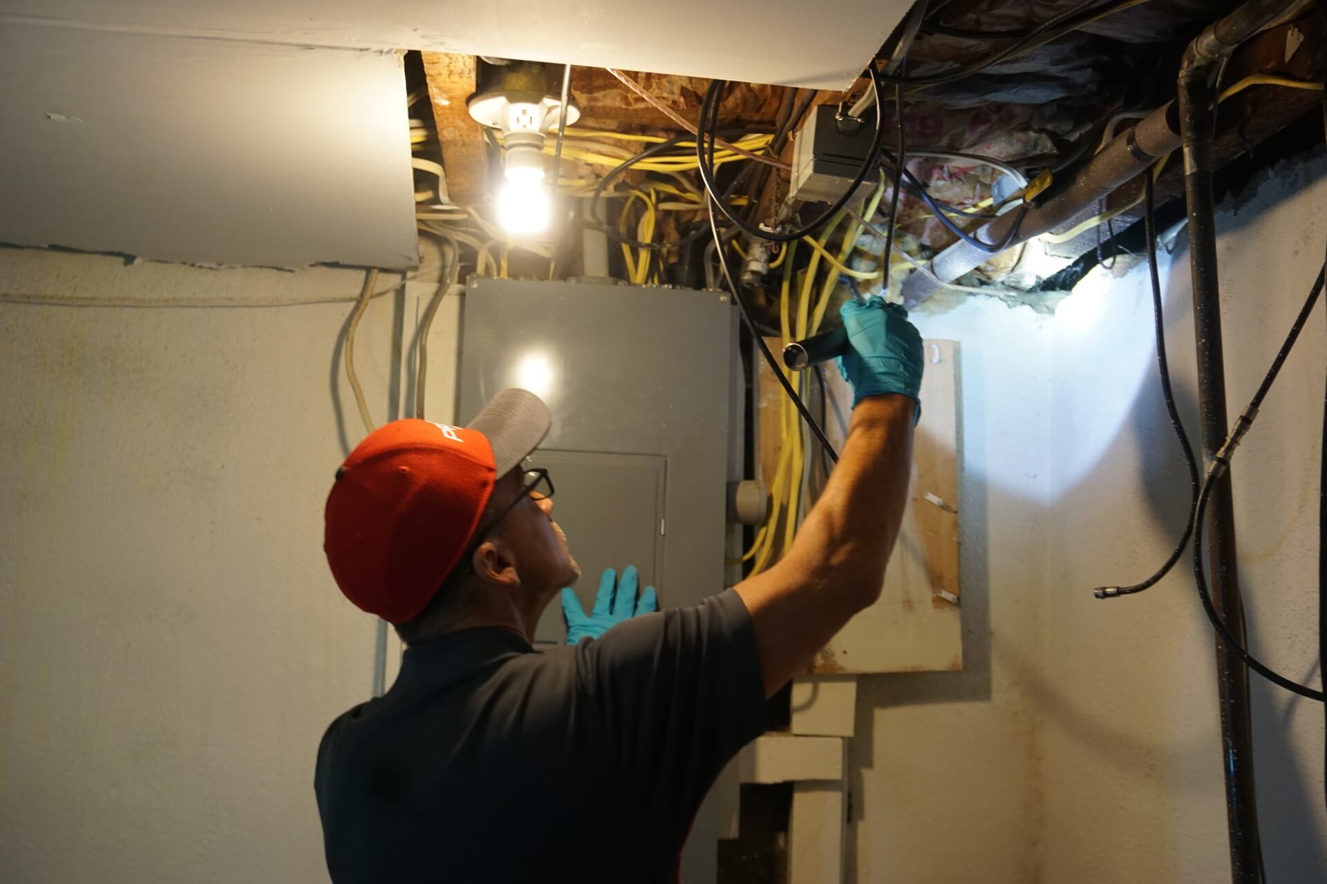 Procor's Guide to Rodent Control in Pennsylvania Expert Tips & Solutions