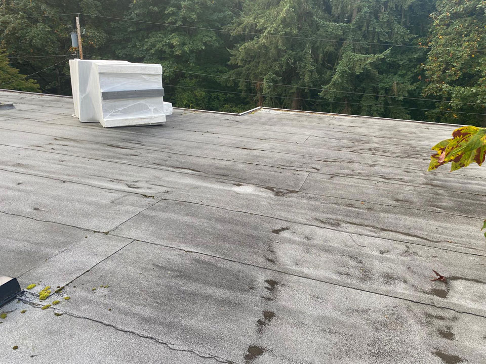 ProCover Roofing Home