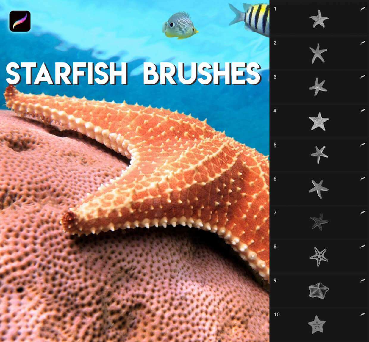 Brush with starfish for underwater landscapes