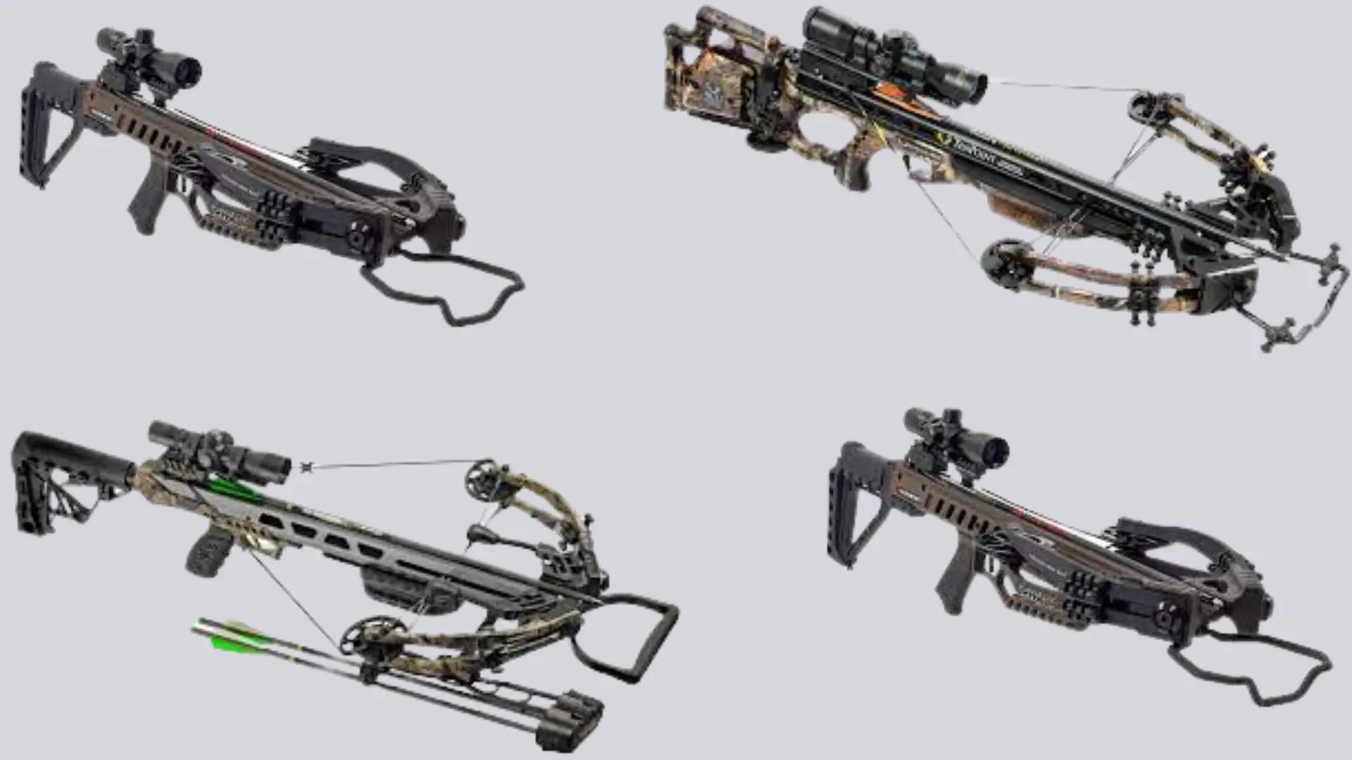 Crossbow Vs Longbow (Which Is Better For Beginners)