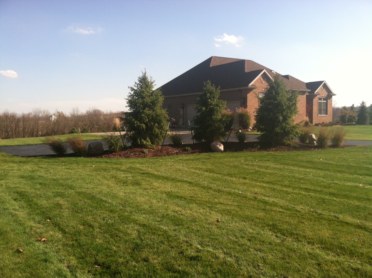 Landscaping Pro Cut Lawn & Landscape