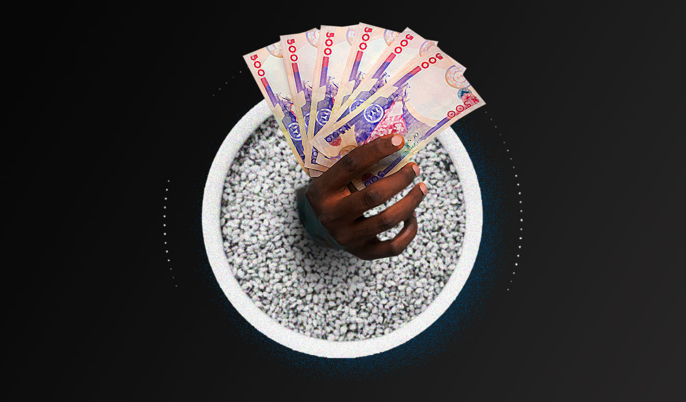 The silent success of sesame seeds in Nigeria