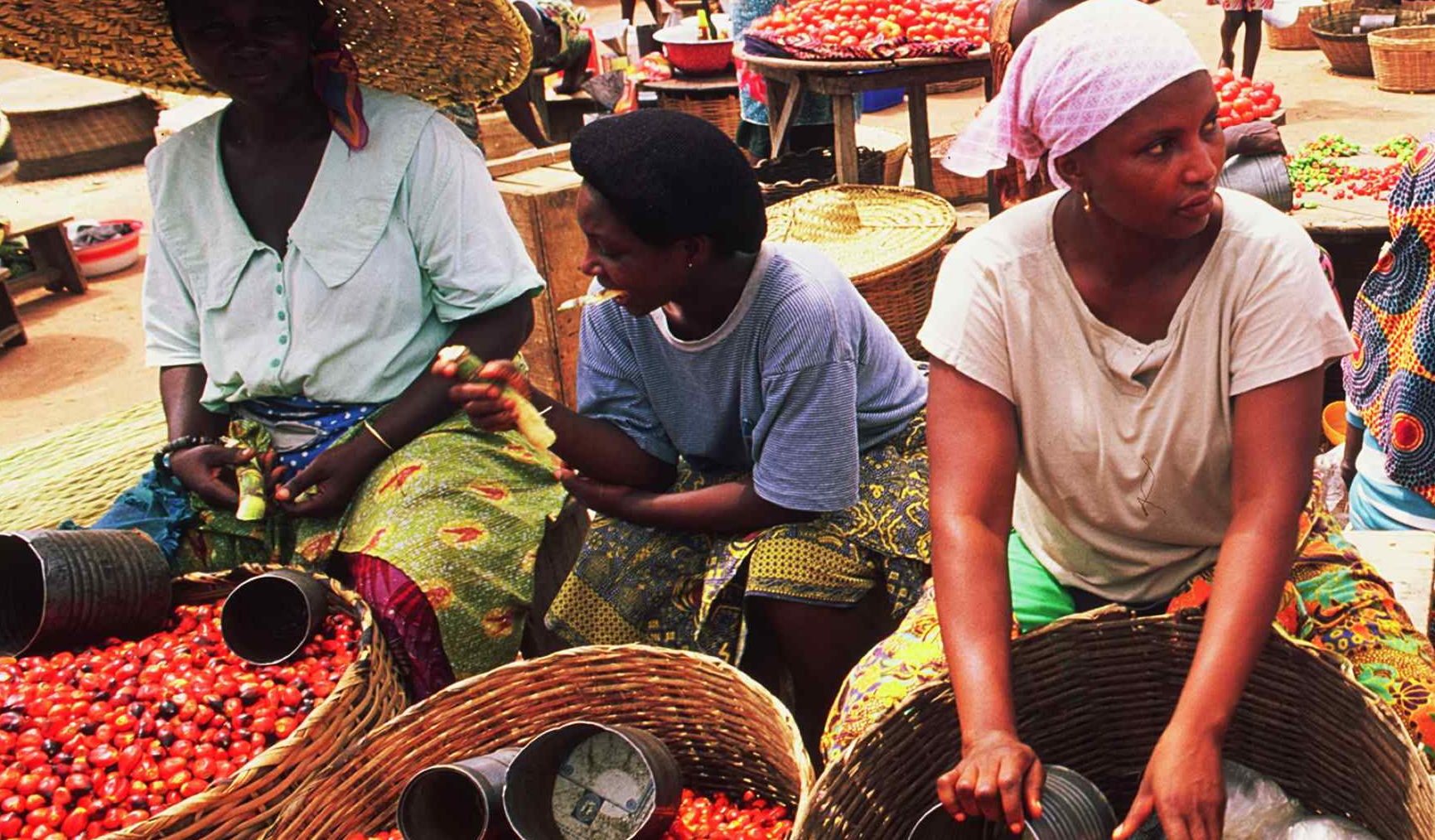 Towards food Security in Nigeria