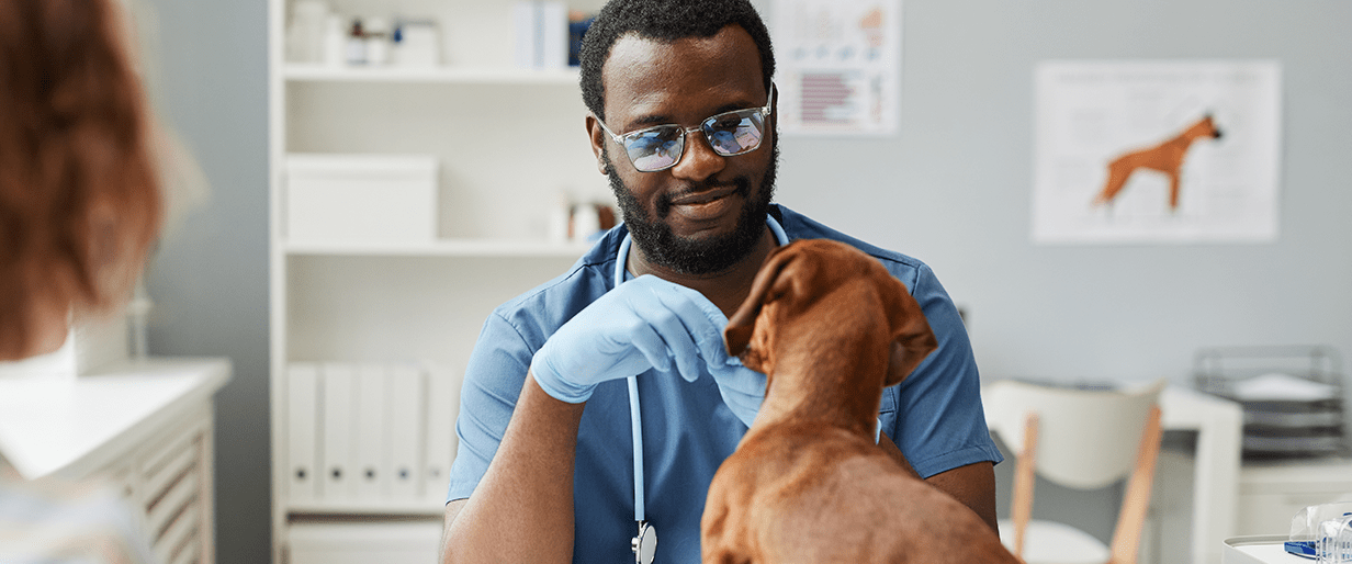 Efficient practice management system solution for a veterinary group