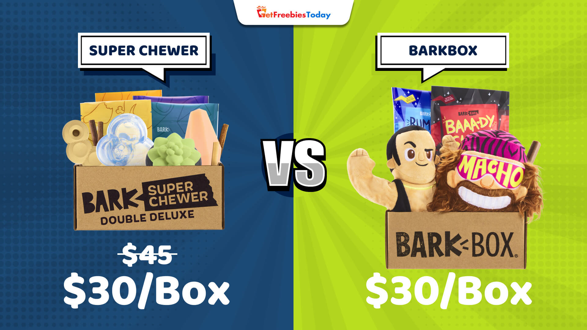Barkbox vs Super Chewer Which One Is The Best? GFT