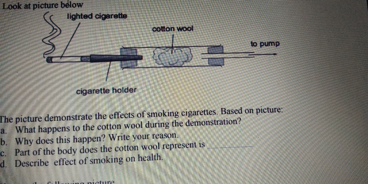 Answered cigarette holder The pieture… bartleby
