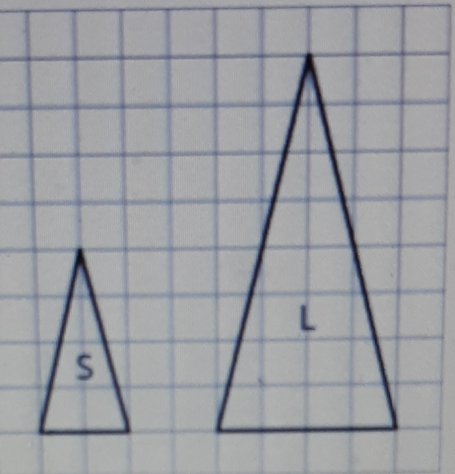 Answered Triangle M is also a scaled copy of S.… bartleby