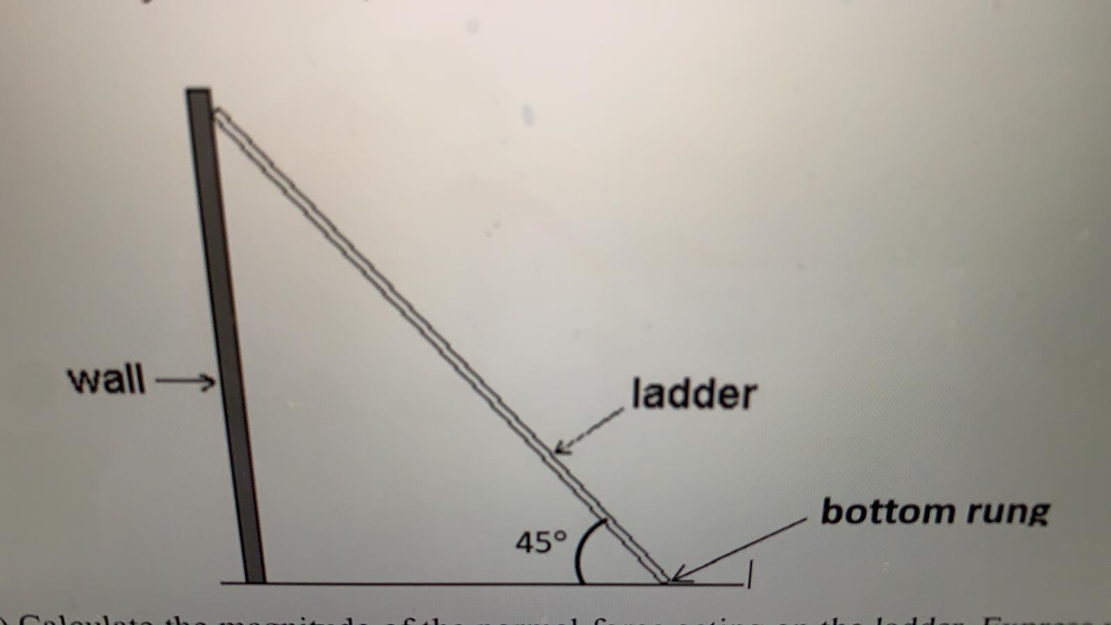 Answered wall ladder bottom rung 45° bartleby