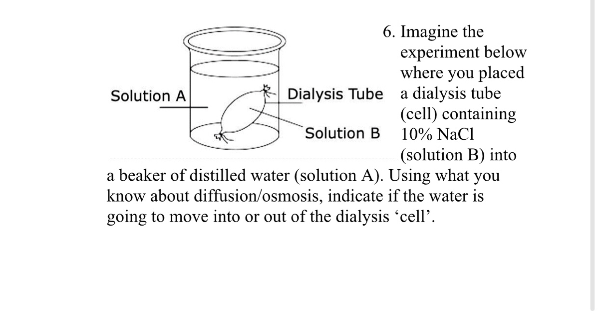 What Cell Structure Can the Dialysis Sac Be Compared