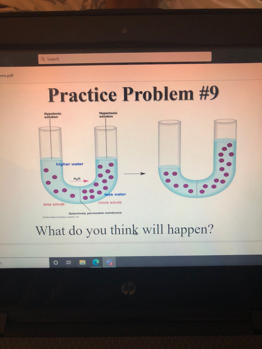 Answered What do you think will happen? bartleby