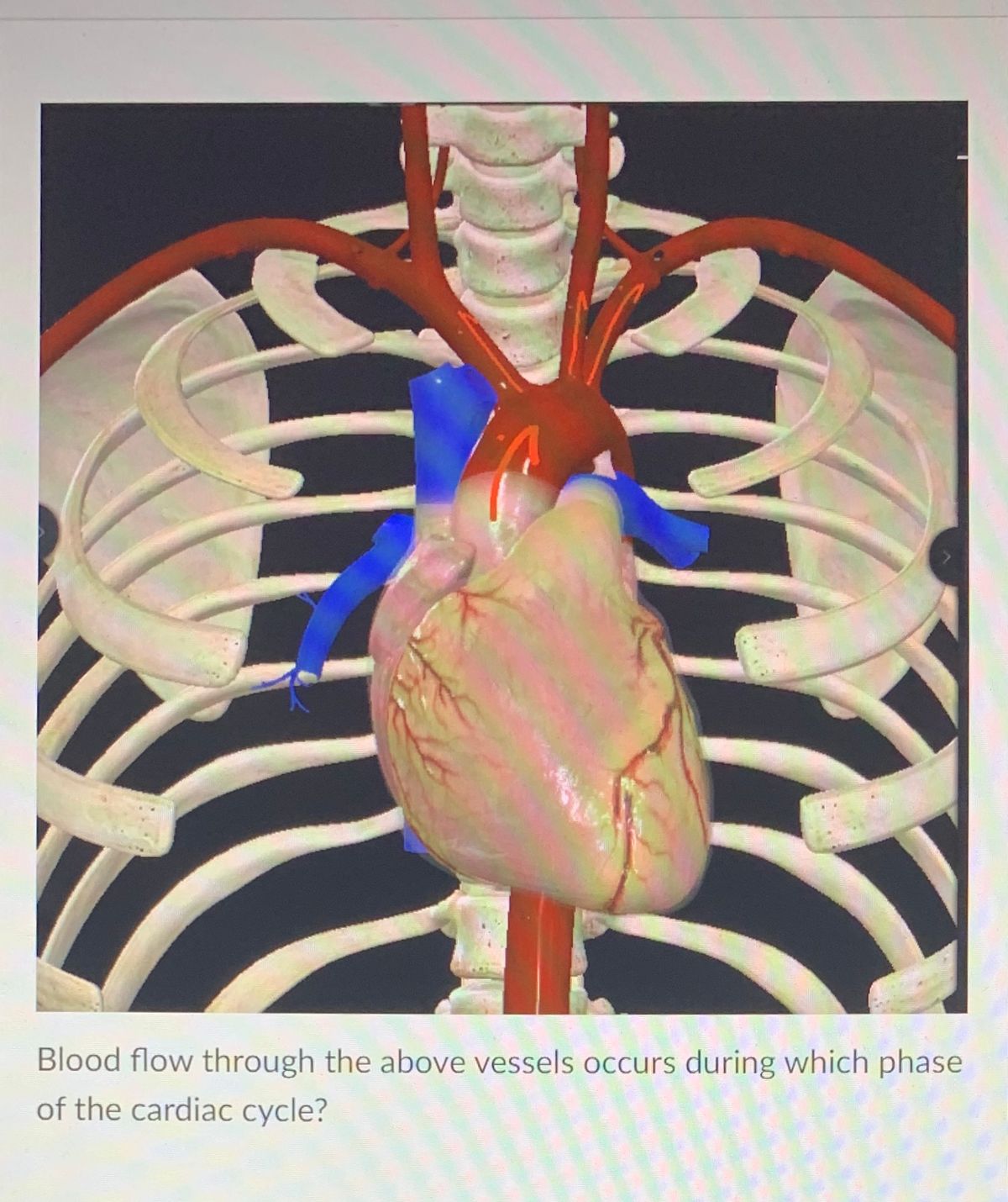 Answered a. Ventricular diastole b. Throughout… bartleby Answered a. Ventricular diastole b. Throughout… bartleby