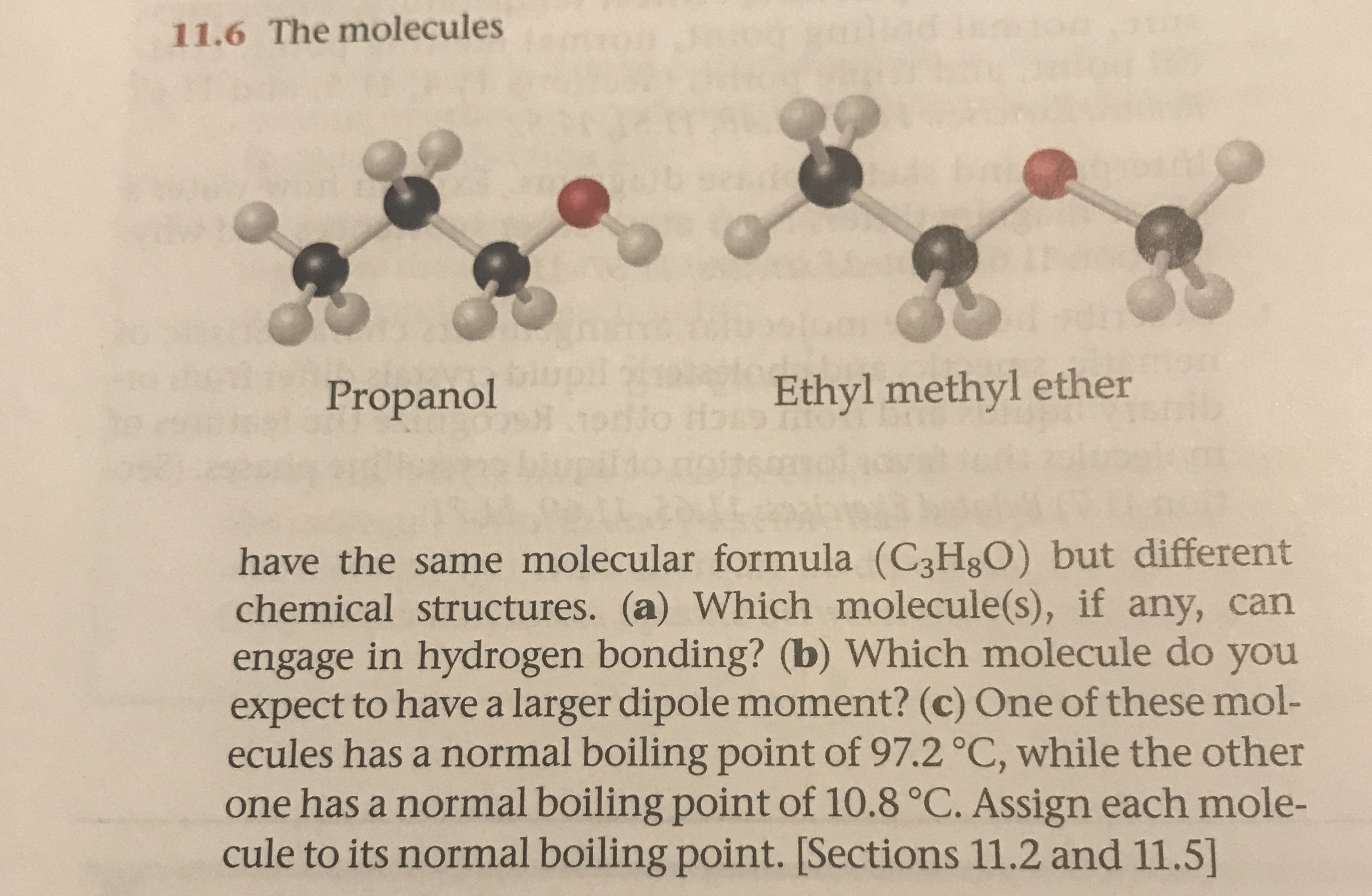 Answered 11.6 The molecules Ethyl methyl ether… bartleby