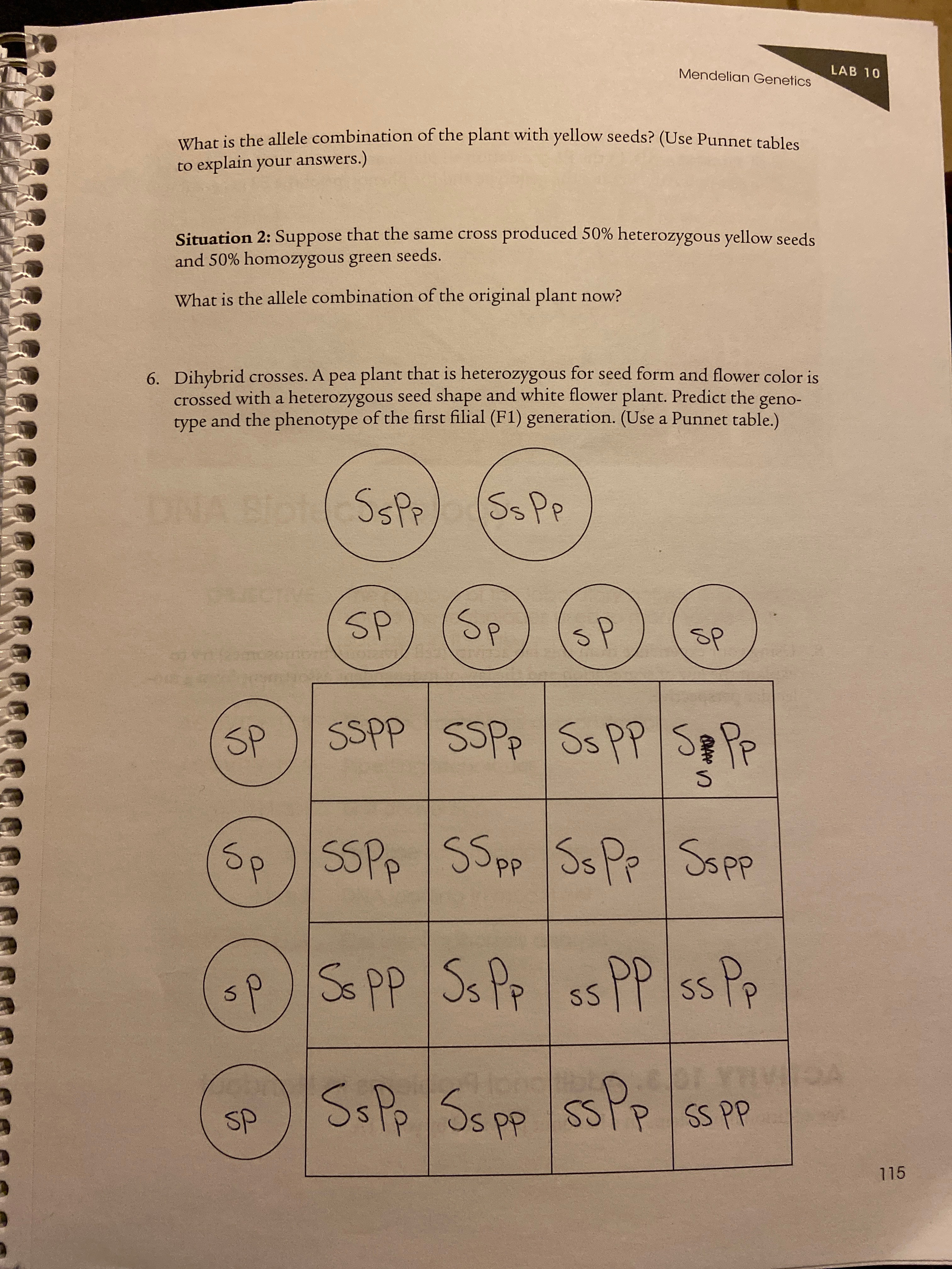 Answered Dihybrid crosses. A pea plant that is… bartleby