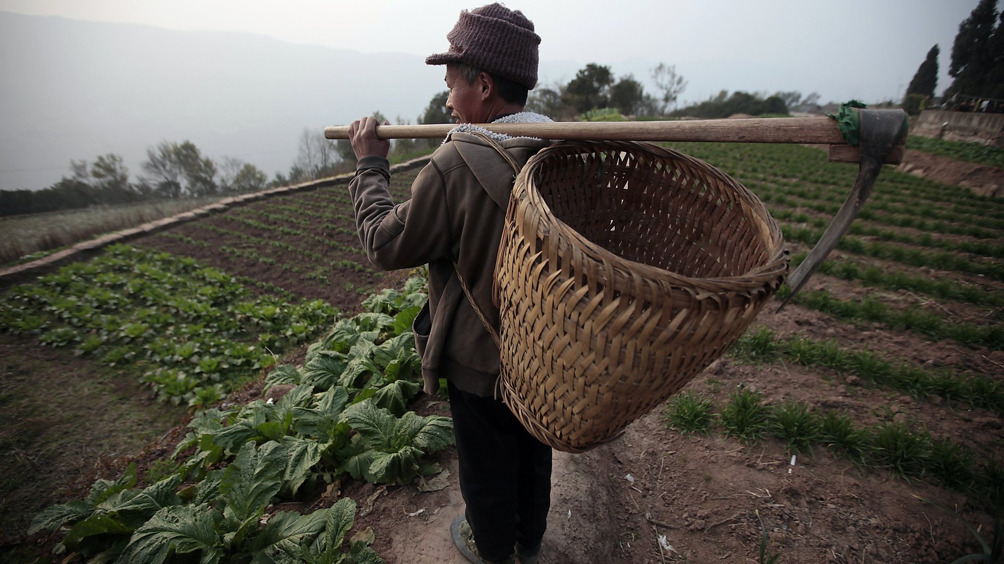 China land reform opens door to corporate farming