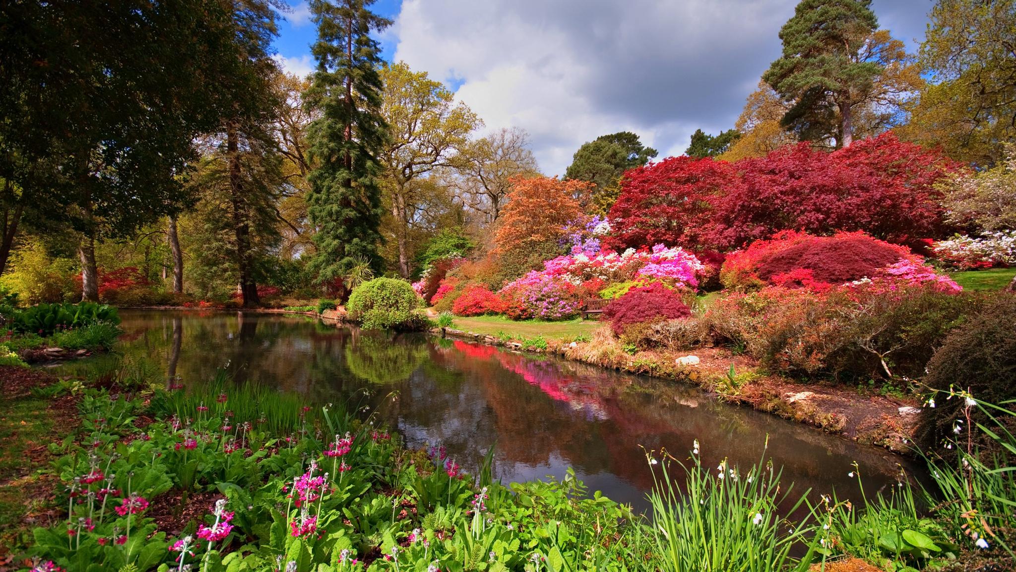 Lionel de Rothschild’s horticultural legacy at Exbury Gardens