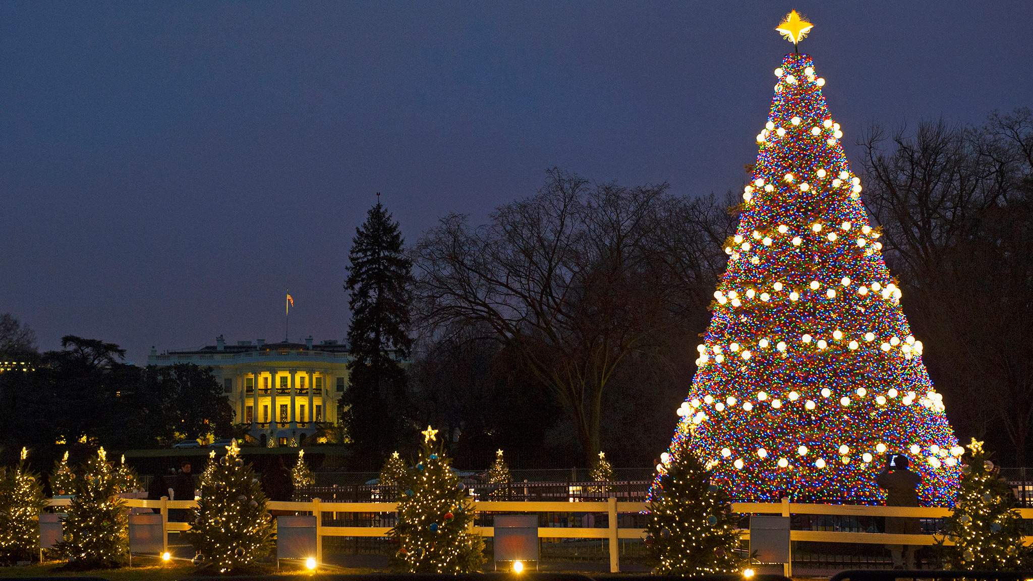 25 Ft Christmas Tree In Usa 2022 Us National Christmas Tree: A Symbol Of Peace, Pride And Power | Financial Times