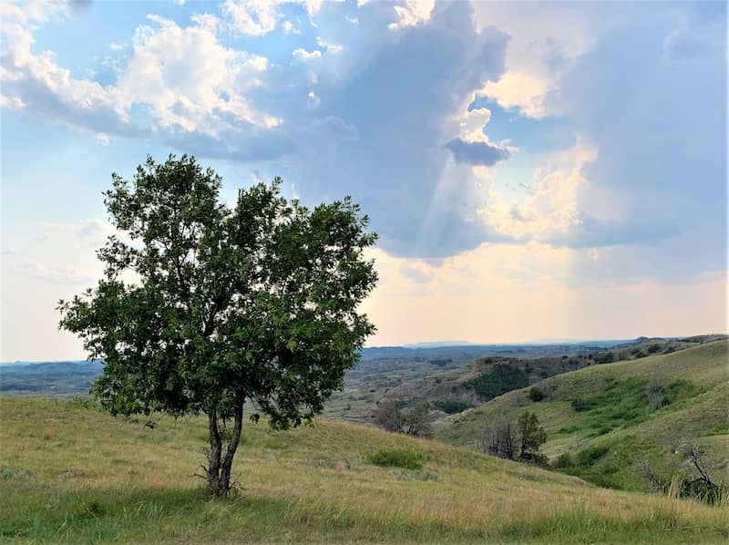 10 Best Places To Live In North Dakota Rocket Homes