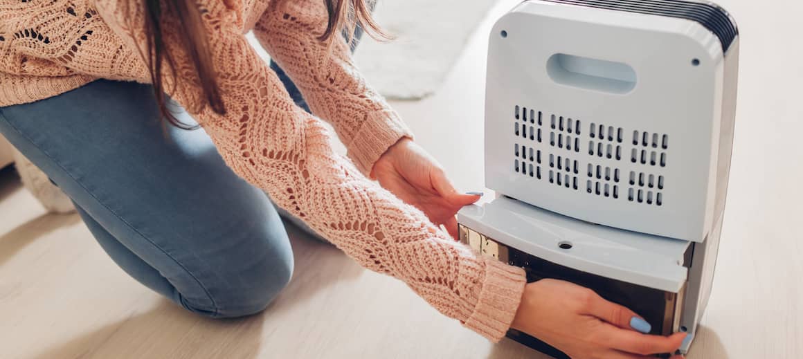 How To Dehumidify A Room Tips And Tricks Rocket Homes