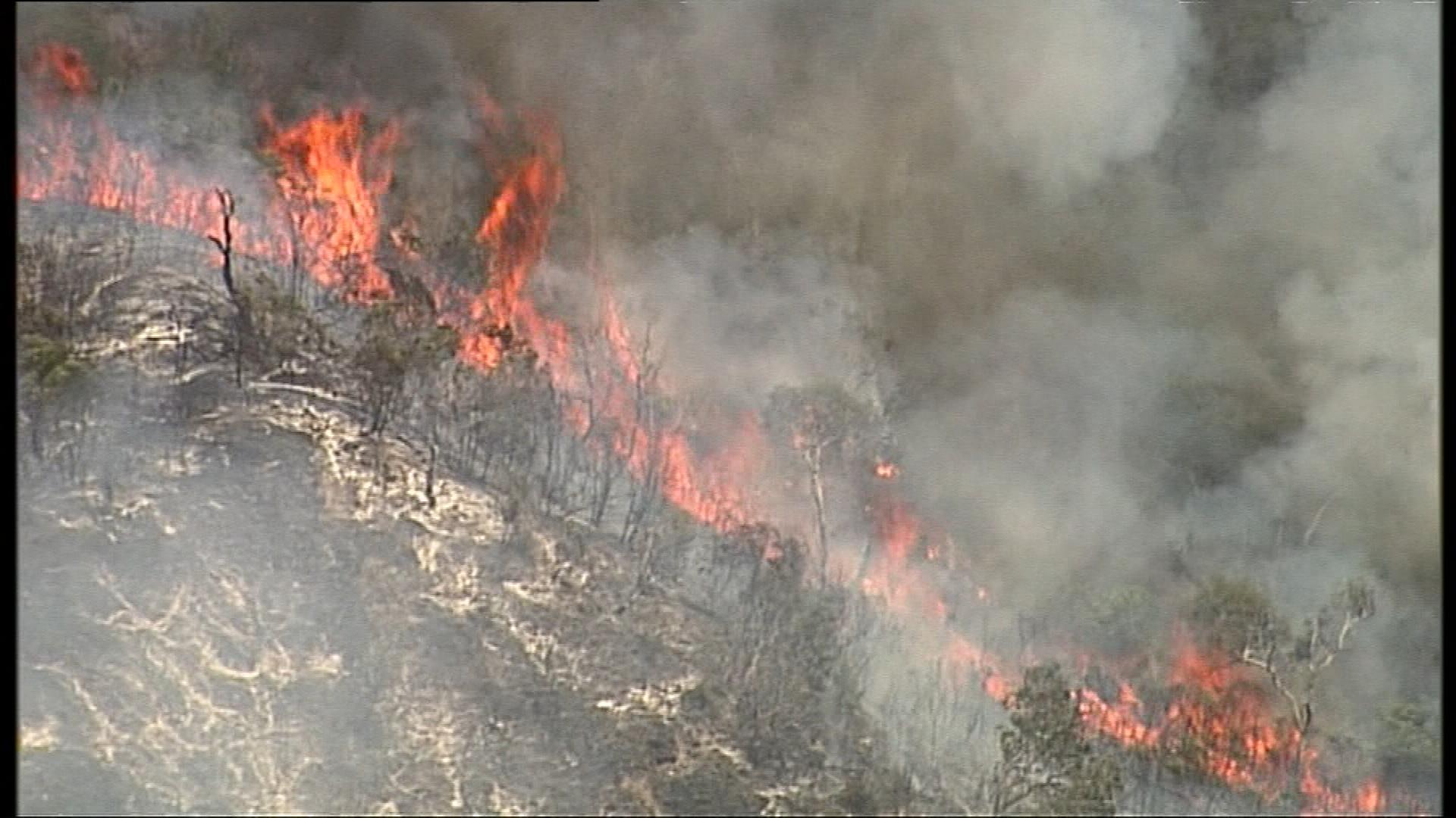Four people charged over illegal campfire that sparked Fraser Island