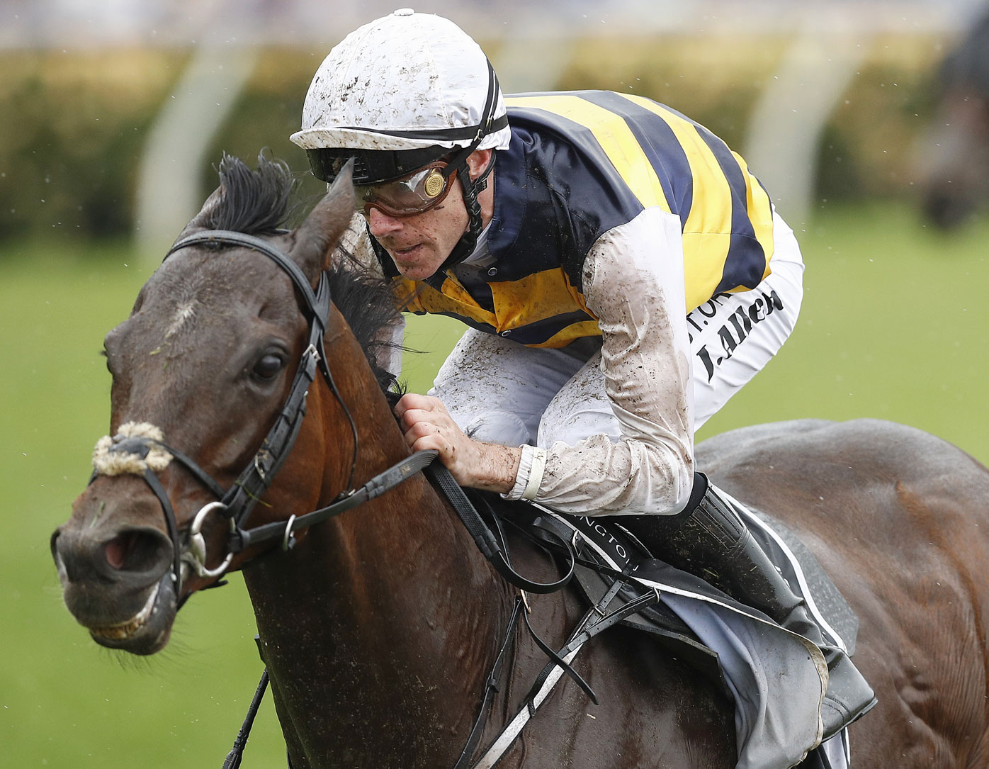 Melbourne Cup horses 2019 form guide, tips, updated odds, jockeys