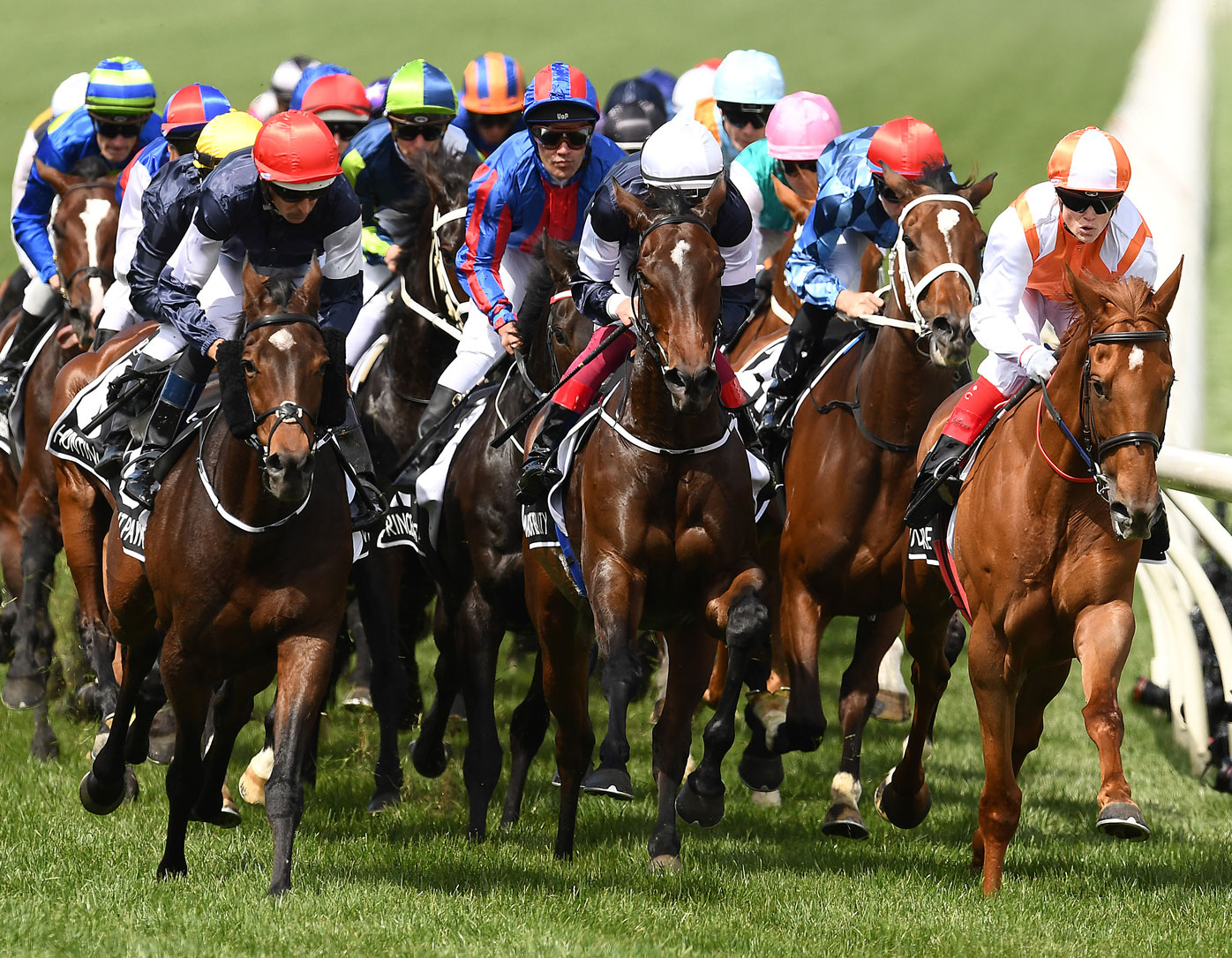 Melbourne Cup horses 2020, form guide, tips from Simon O'Donnell, latest odds, jockeys