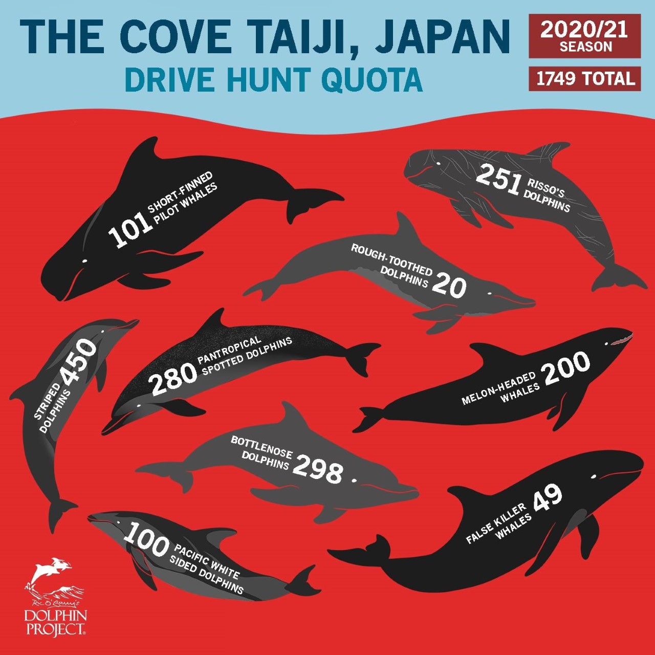 Do Japanese Kill Dolphins