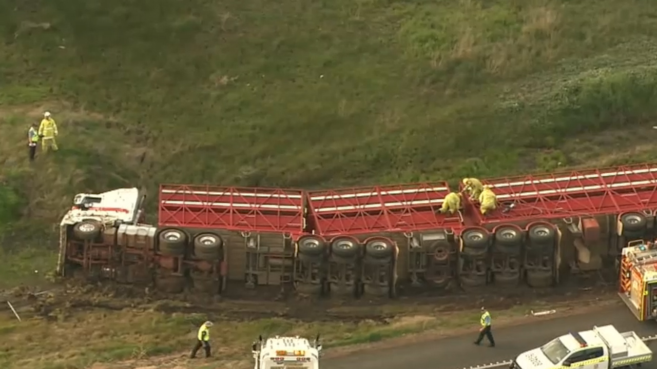 Road train rolls, driver killed in truck collision in WA Breaking