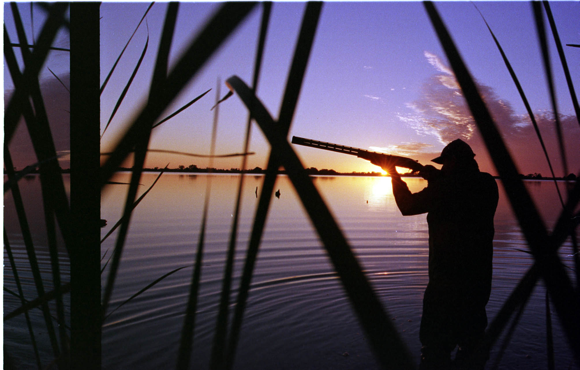 Victoria considering banning duck hunting ahead of 2023 season Flipboard
