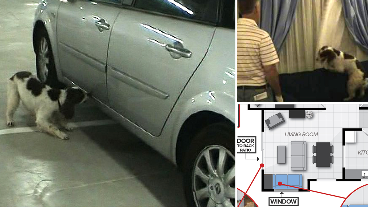 Madeleine McCann jawdropping footage of dogs alerting in McCann apartment and car