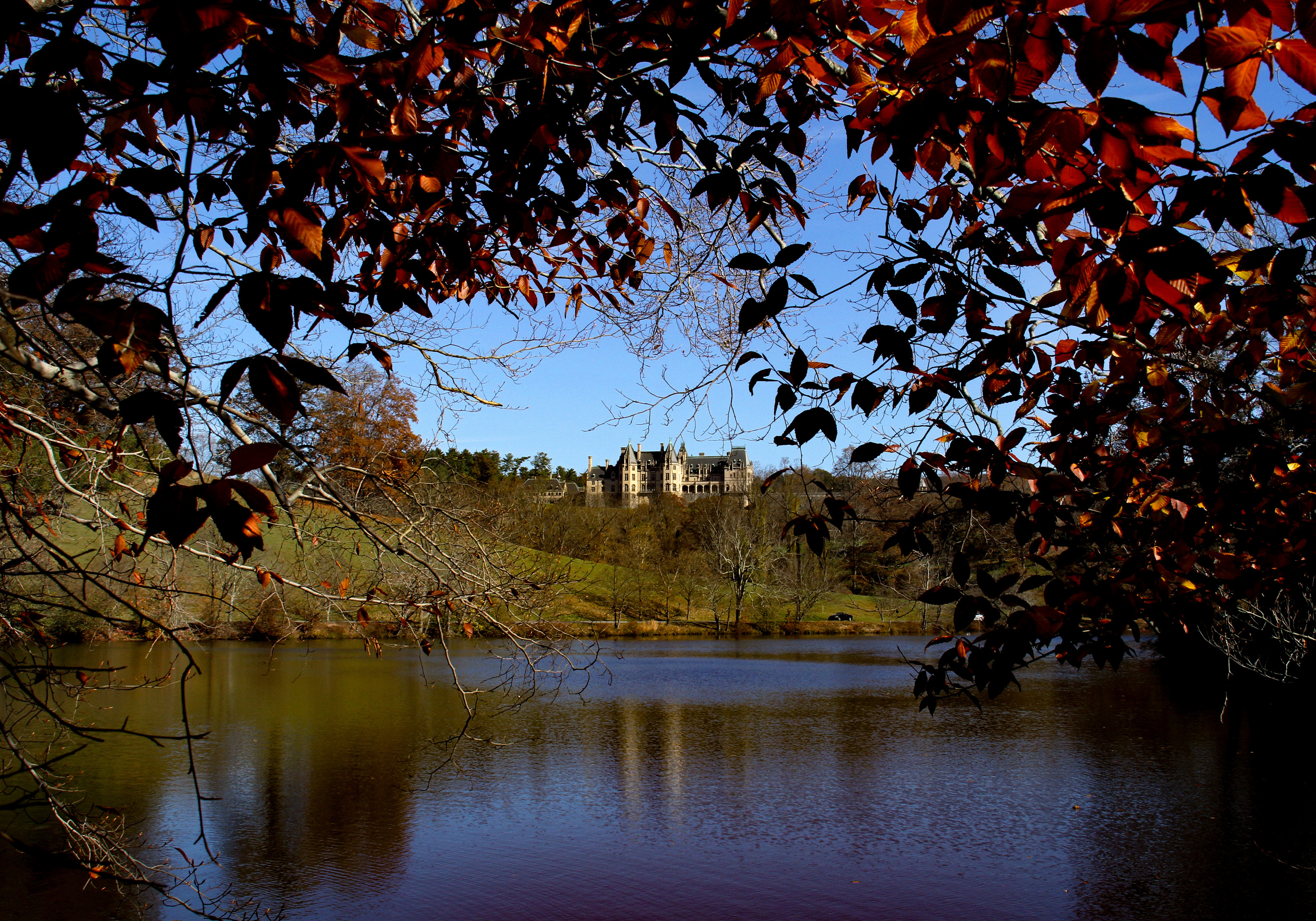 Asheville Nc Fall Colors 2023