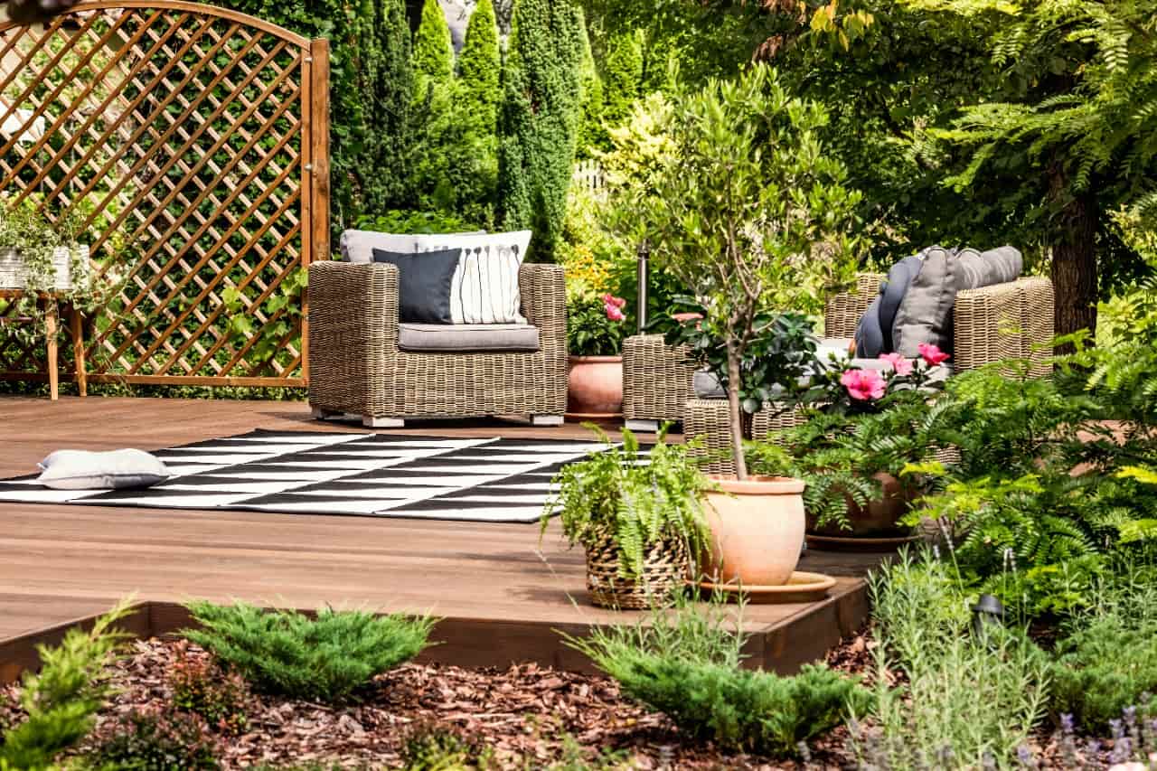 What Are The Plants Suitable For Terrace Garden? ProdHut