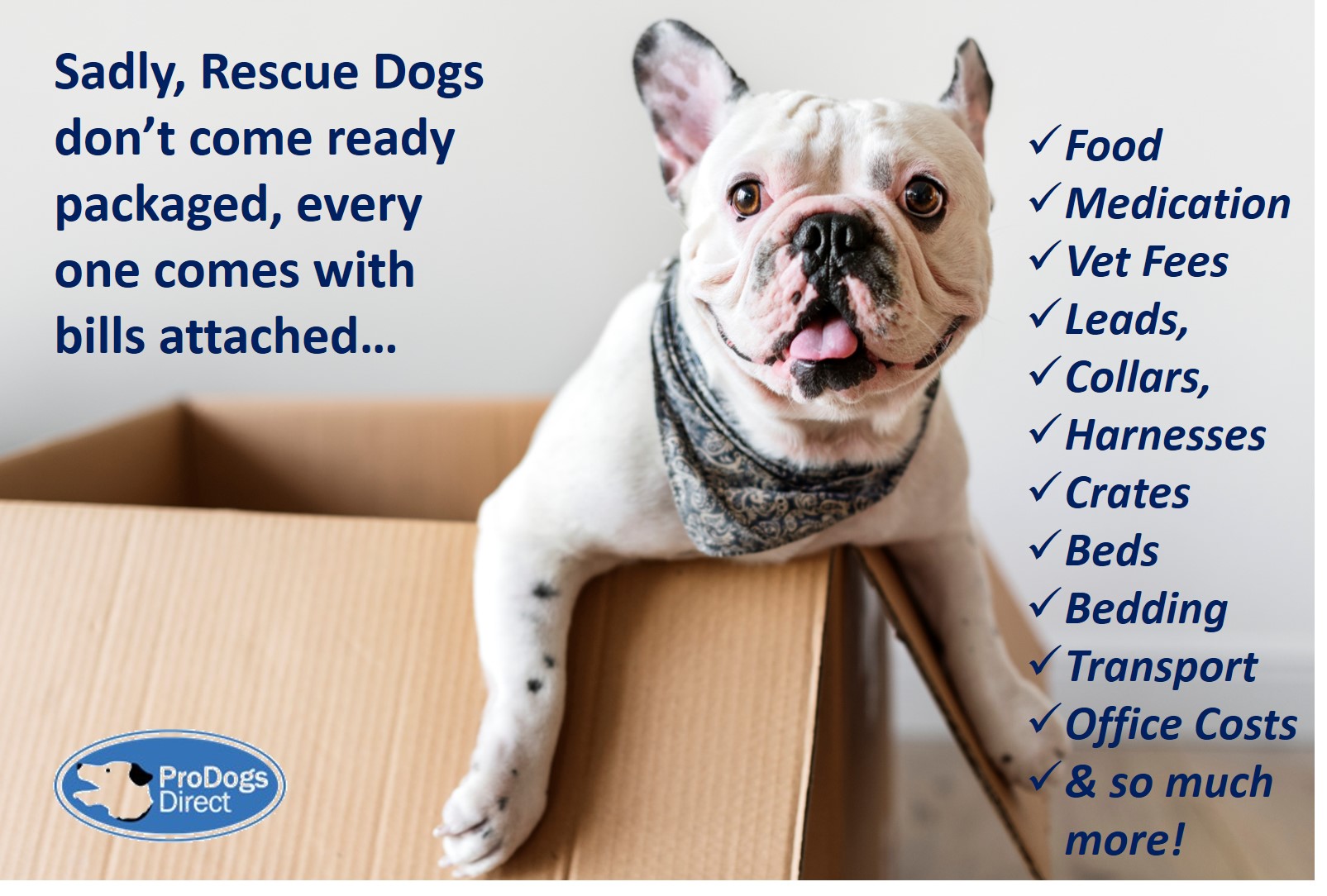 How Much Do Rescue Dogs Cost Uk