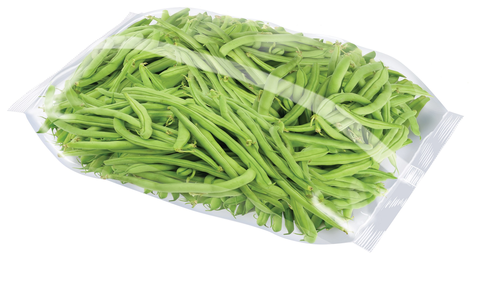Modified atmosphere packaging helps add to green beans' shelf life Produce Processing