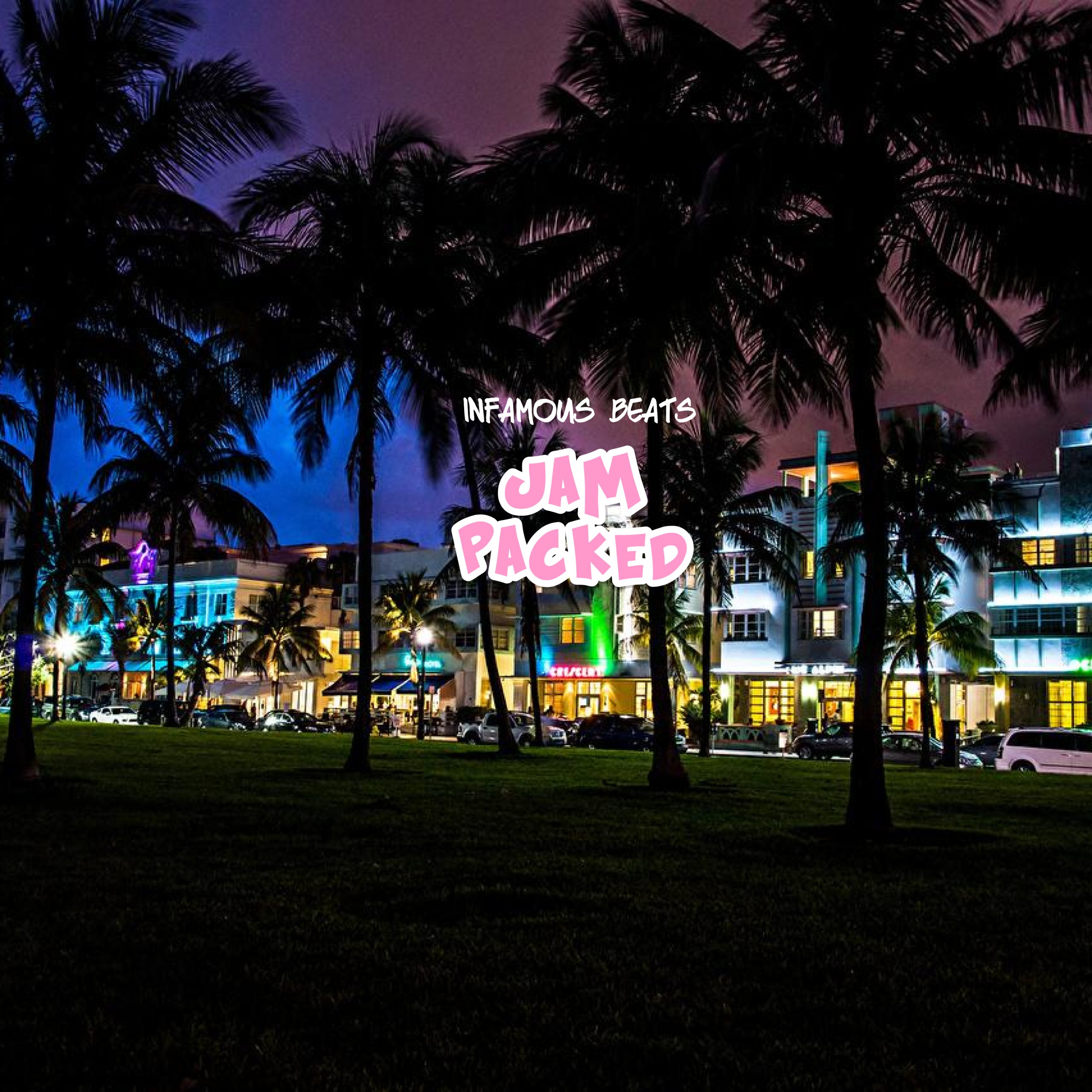 "Jam Packed" West Coast Sample Pack Producer Nook